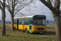 MAN 750 HO.jpg